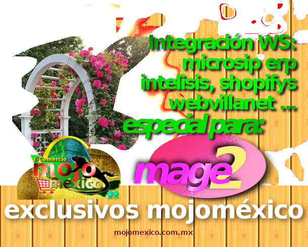 magento2 webservice